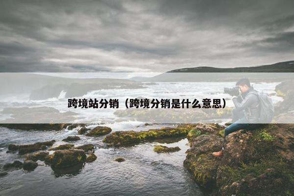跨境站分销（跨境分销是什么意思）