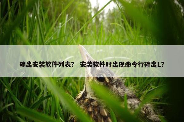 输出安装软件列表？ 安装软件时出现命令行输出L？