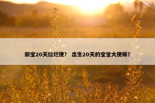 新宝20天拉烂便？ 出生20天的宝宝大便稀？