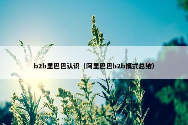 b2b里巴巴认识（阿里巴巴b2b模式总结）