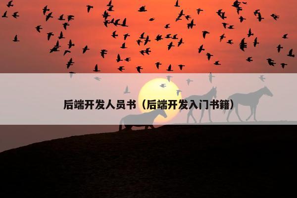 后端开发人员书（后端开发入门书籍）