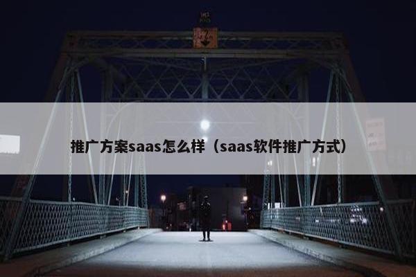 推广方案saas怎么样（saas软件推广方式）