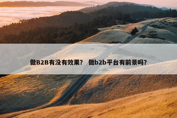 做B2B有没有效果？ 做b2b平台有前景吗？
