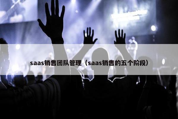 saas销售团队管理（saas销售的五个阶段）