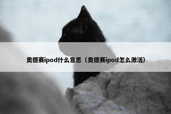 奥德赛ipod什么意思（奥德赛ipod怎么激活）