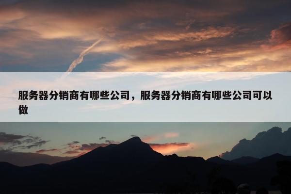 服务器分销商有哪些公司，服务器分销商有哪些公司可以做