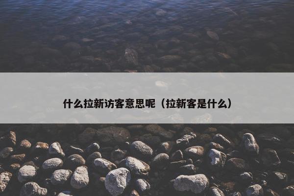 什么拉新访客意思呢（拉新客是什么）