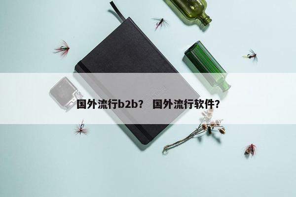 国外流行b2b？ 国外流行软件？