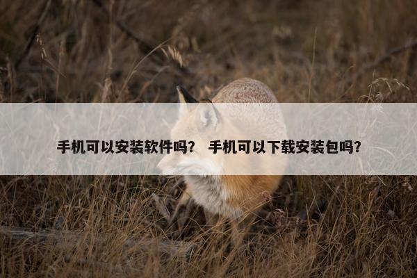 手机可以安装软件吗？ 手机可以下载安装包吗？
