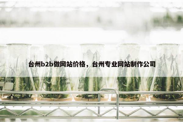 台州b2b做网站价格，台州专业网站制作公司