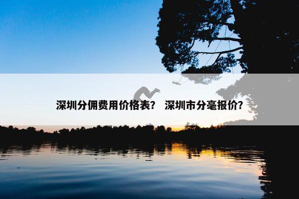 深圳分佣费用价格表？ 深圳市分毫报价？