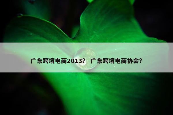 广东跨境电商2013？ 广东跨境电商协会？