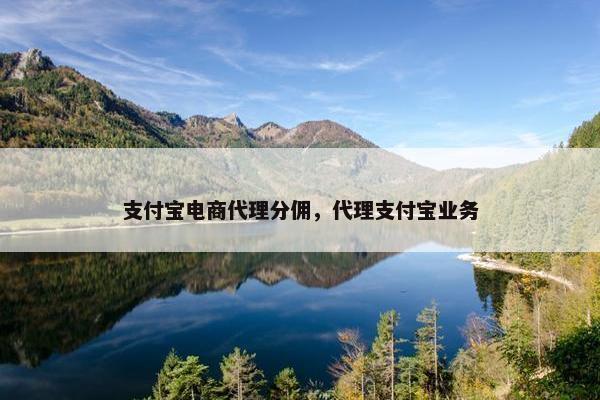 支付宝电商代理分佣，代理支付宝业务