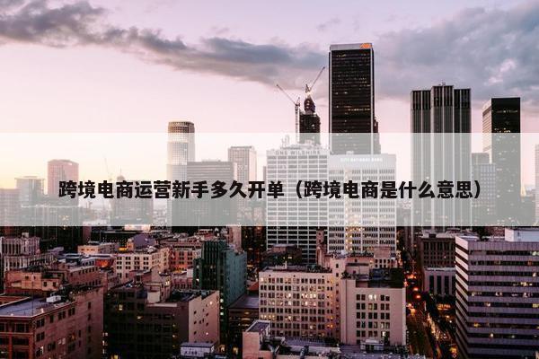 跨境电商运营新手多久开单（跨境电商是什么意思）