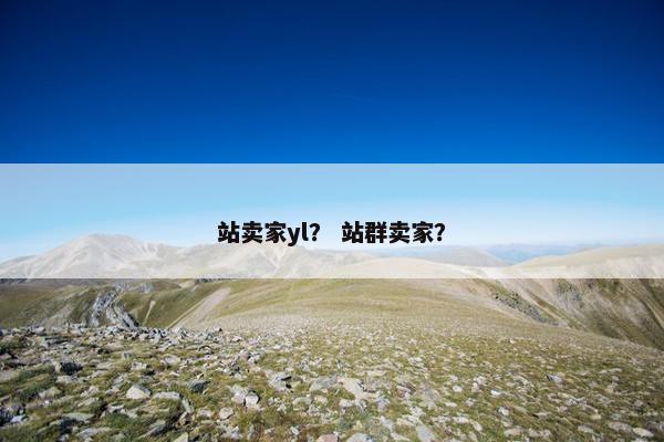 站卖家yl？ 站群卖家？