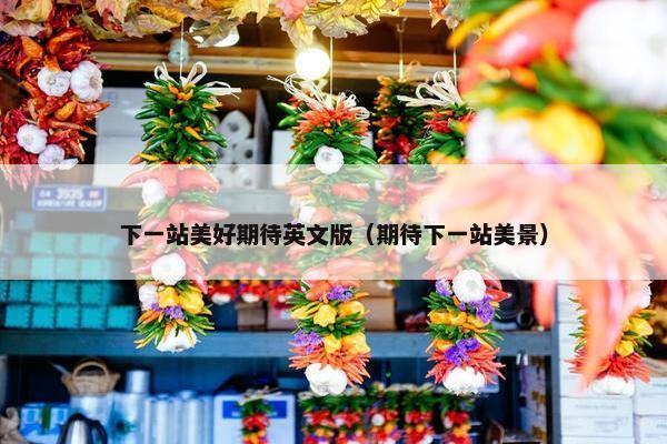 下一站美好期待英文版（期待下一站美景）