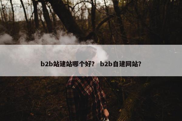 b2b站建站哪个好？ b2b自建网站？