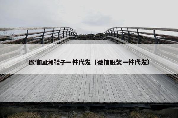 微信国潮鞋子一件代发（微信服装一件代发）