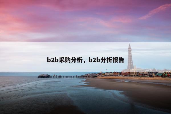 b2b采购分析，b2b分析报告