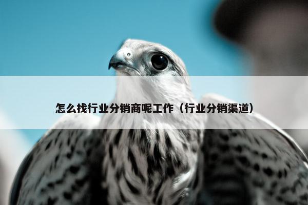 怎么找行业分销商呢工作（行业分销渠道）
