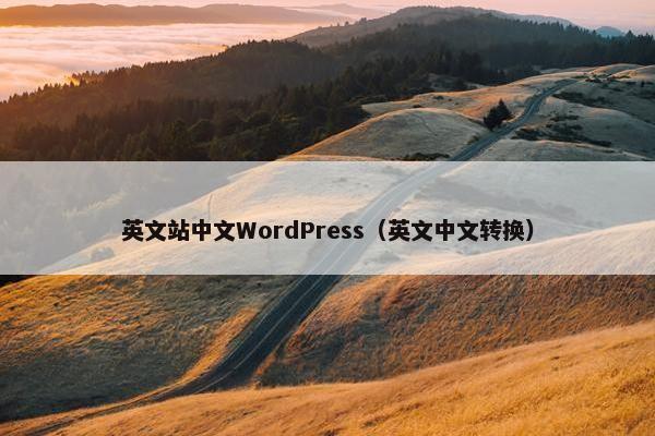英文站中文WordPress（英文中文转换）