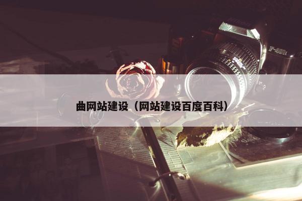 曲网站建设（网站建设百度百科）
