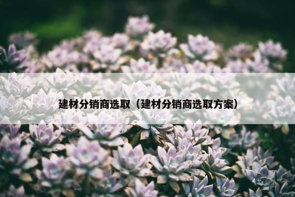 建材分销商选取（建材分销商选取方案）