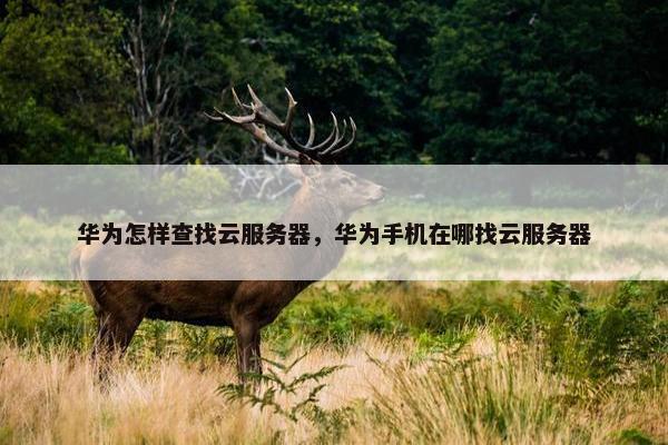 华为怎样查找云服务器，华为手机在哪找云服务器