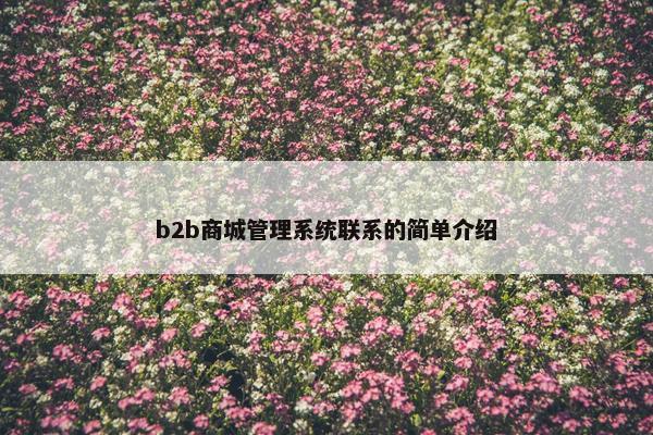 b2b商城管理系统联系的简单介绍