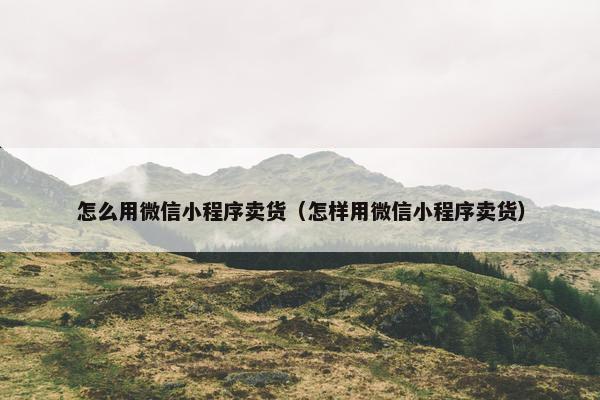 怎么用微信小程序卖货（怎样用微信小程序卖货）