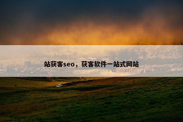 站获客seo，获客软件一站式网站