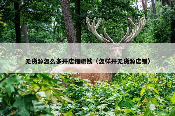 无货源怎么多开店铺赚钱（怎样开无货源店铺）