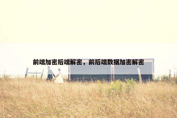 前端加密后端解密，前后端数据加密解密