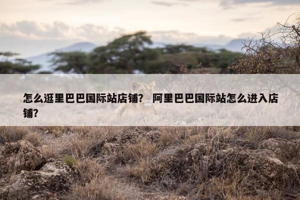 怎么逛里巴巴国际站店铺？ 阿里巴巴国际站怎么进入店铺？