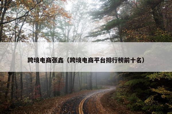 跨境电商张鑫（跨境电商平台排行榜前十名）