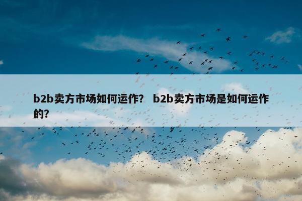 b2b卖方市场如何运作？ b2b卖方市场是如何运作的？