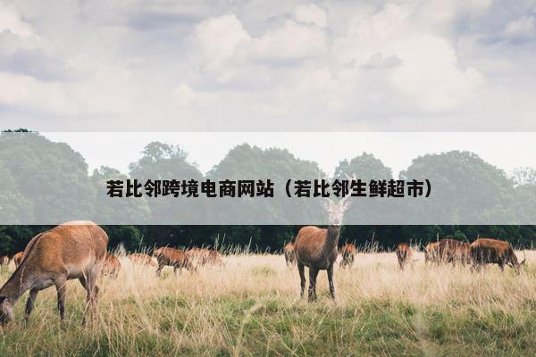 若比邻跨境电商网站（若比邻生鲜超市）