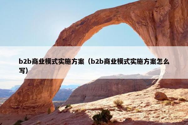 b2b商业模式实施方案（b2b商业模式实施方案怎么写）