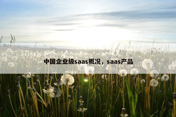 中国企业级saas概况，saas产品
