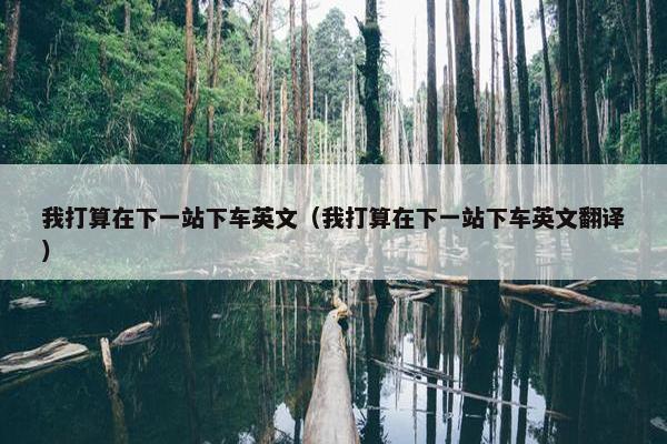 我打算在下一站下车英文（我打算在下一站下车英文翻译）