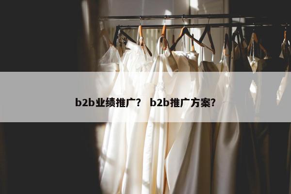b2b业绩推广？ b2b推广方案？