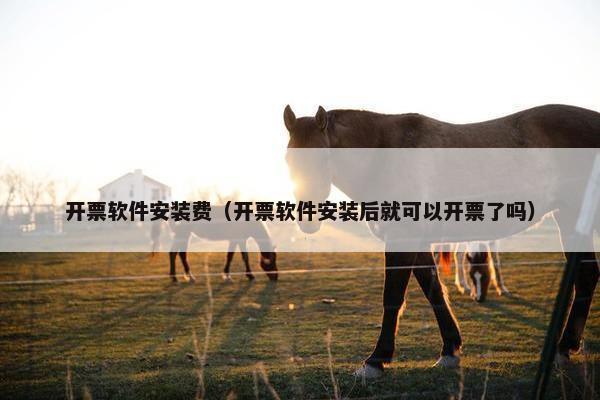 开票软件安装费（开票软件安装后就可以开票了吗）