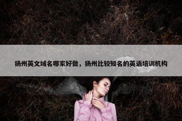 扬州英文域名哪家好做，扬州比较知名的英语培训机构