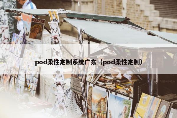 pod柔性定制系统广东（pod柔性定制）