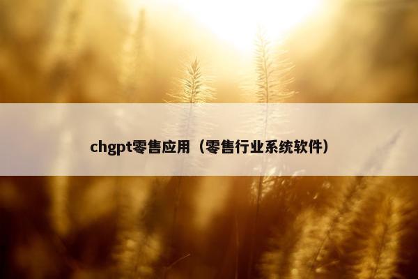 chgpt零售应用（零售行业系统软件）