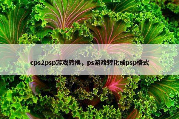 cps2psp游戏转换，ps游戏转化成psp格式