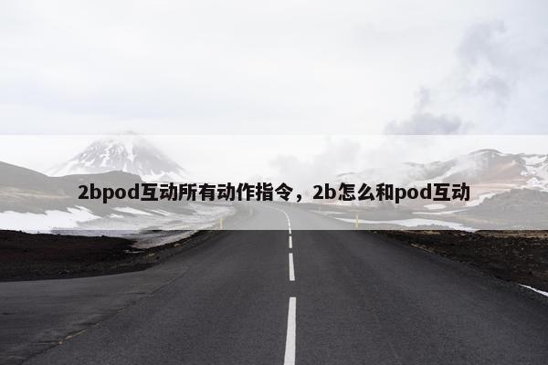 2bpod互动所有动作指令，2b怎么和pod互动