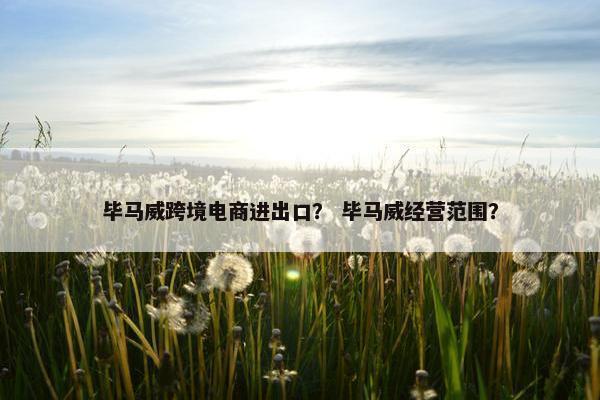 毕马威跨境电商进出口？ 毕马威经营范围？