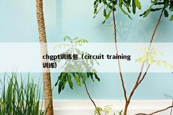 chgpt训练包（circuit training训练）