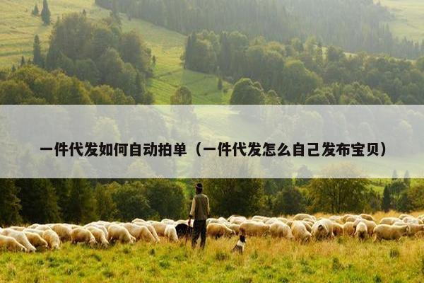 一件代发如何自动拍单（一件代发怎么自己发布宝贝）